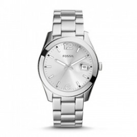 Fossil dömu/herra úr